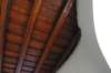 img_3278_small.jpg