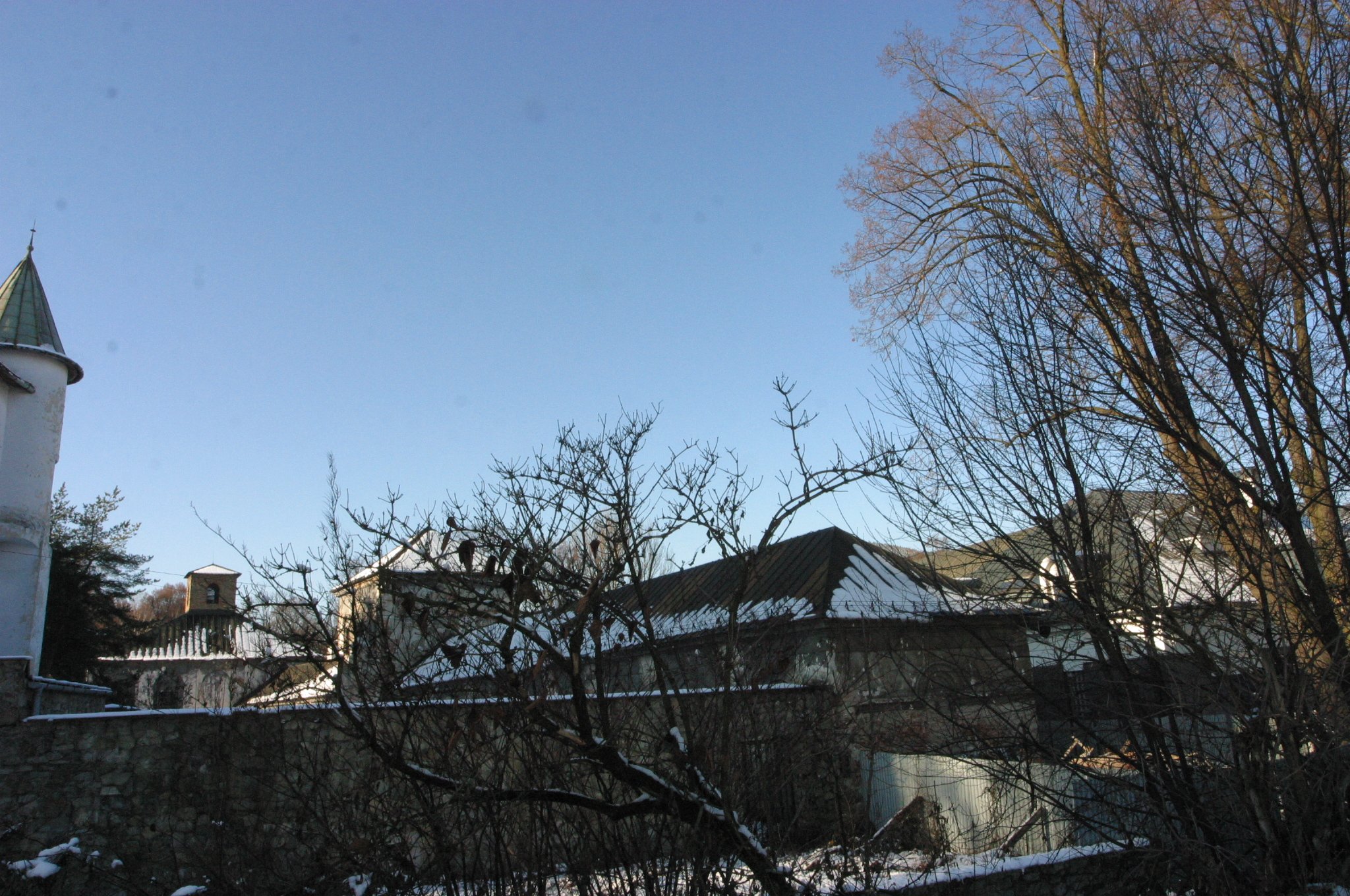 img_3336.jpg