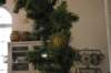 img_3420_small.jpg