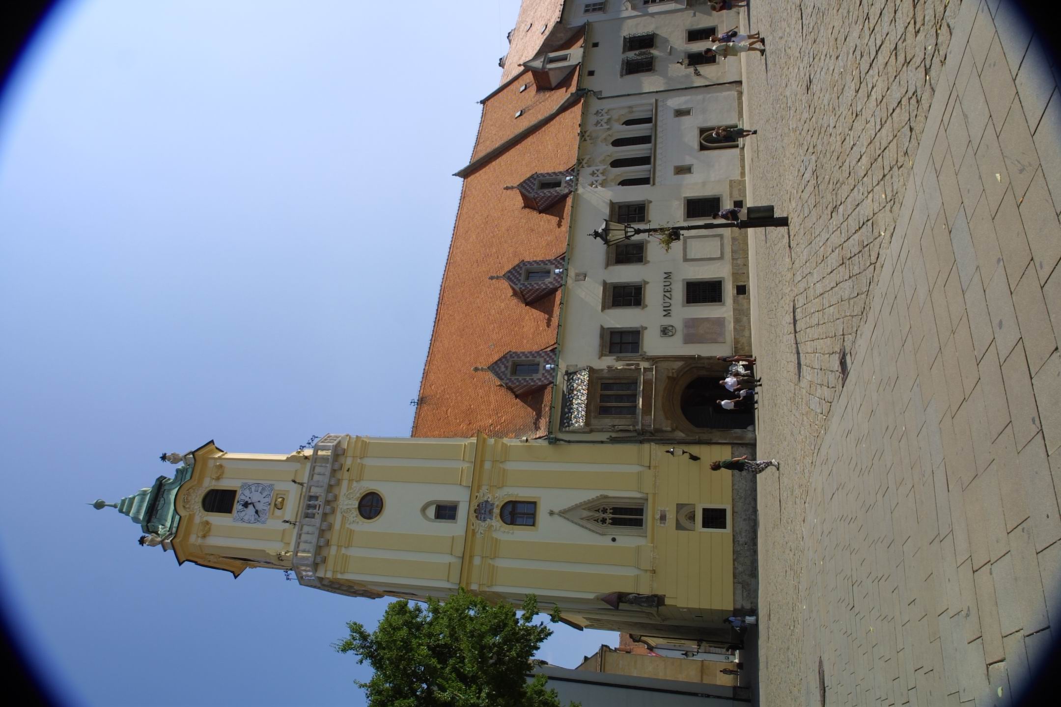 CRW_2520