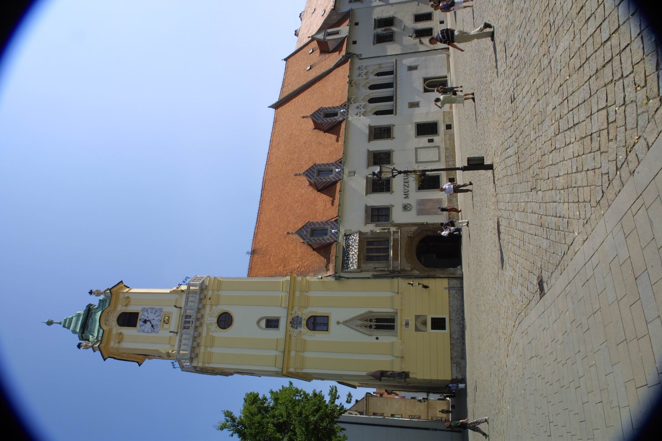 CRW_2521