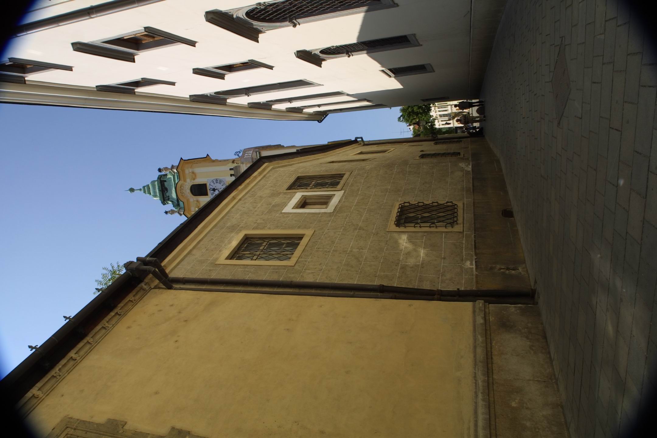 CRW_2528