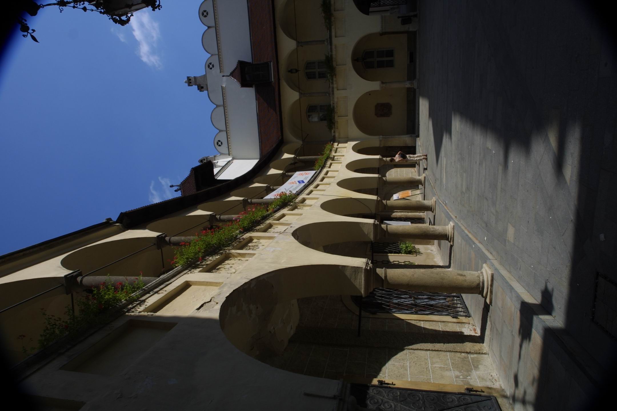 CRW_2575