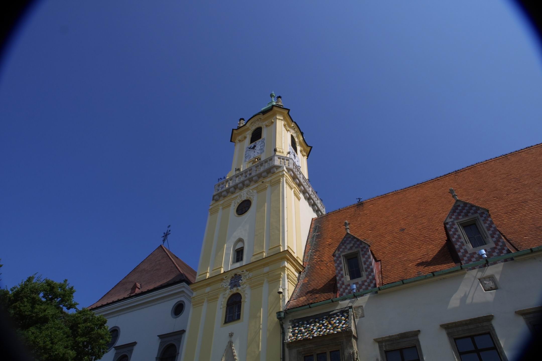 CRW_2590