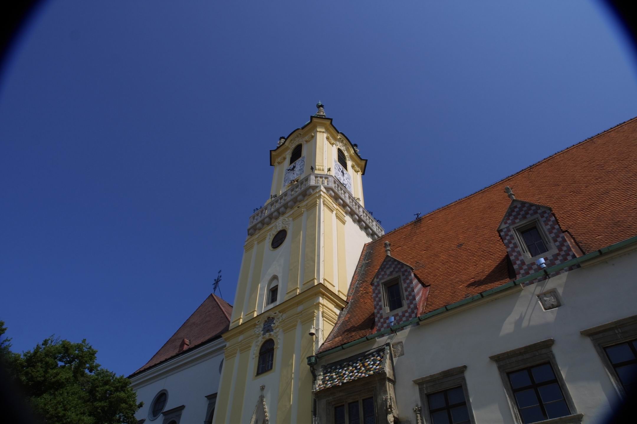 CRW_2591