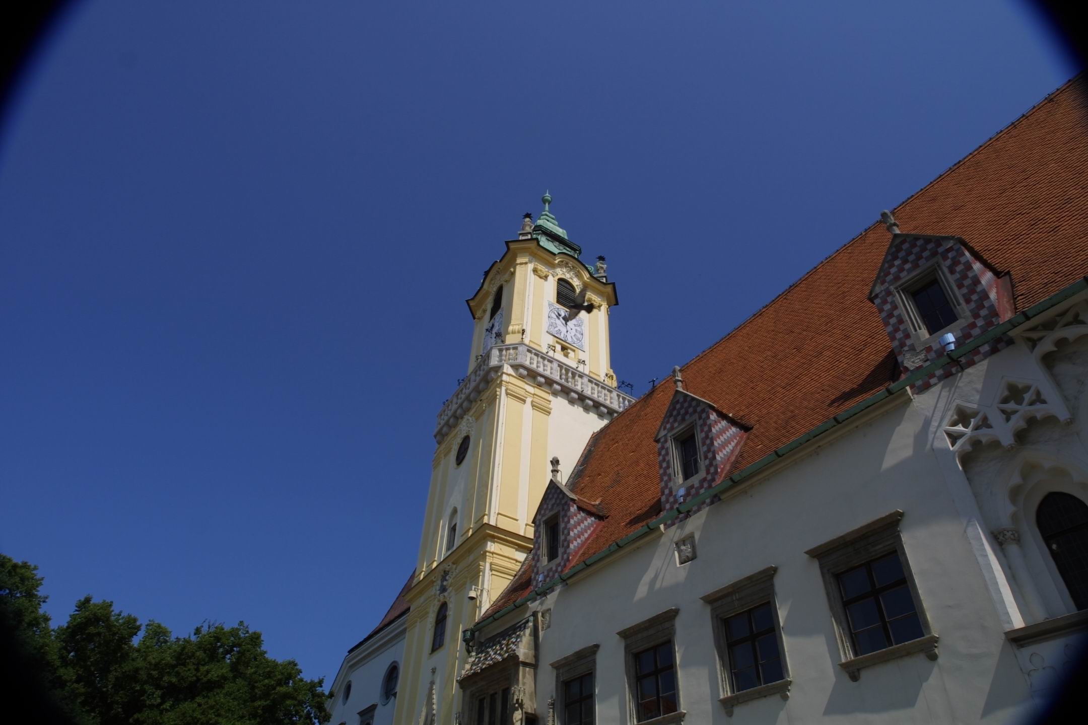 CRW_2593