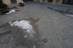 Photo Number 5