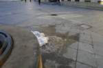 Photo Number 9