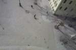 Photo Number 14