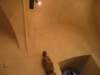 stb_3503_small.jpg