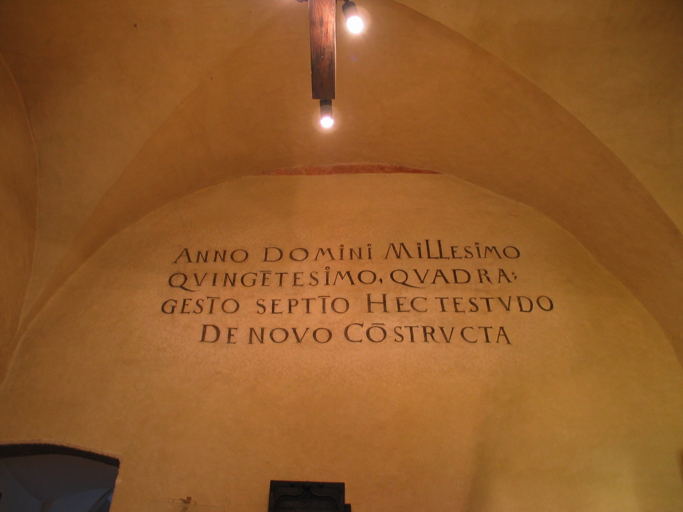 std_3534.jpg
