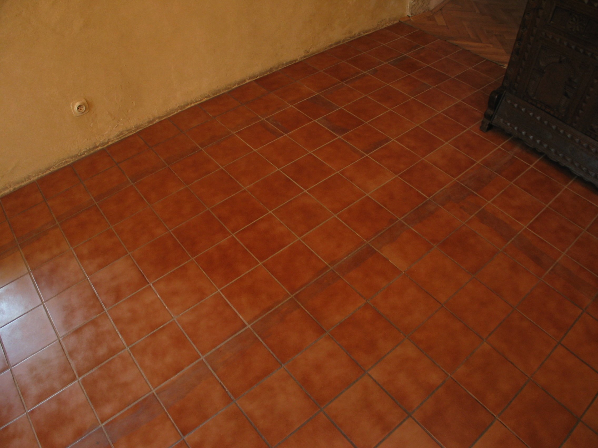 std_3544.jpg