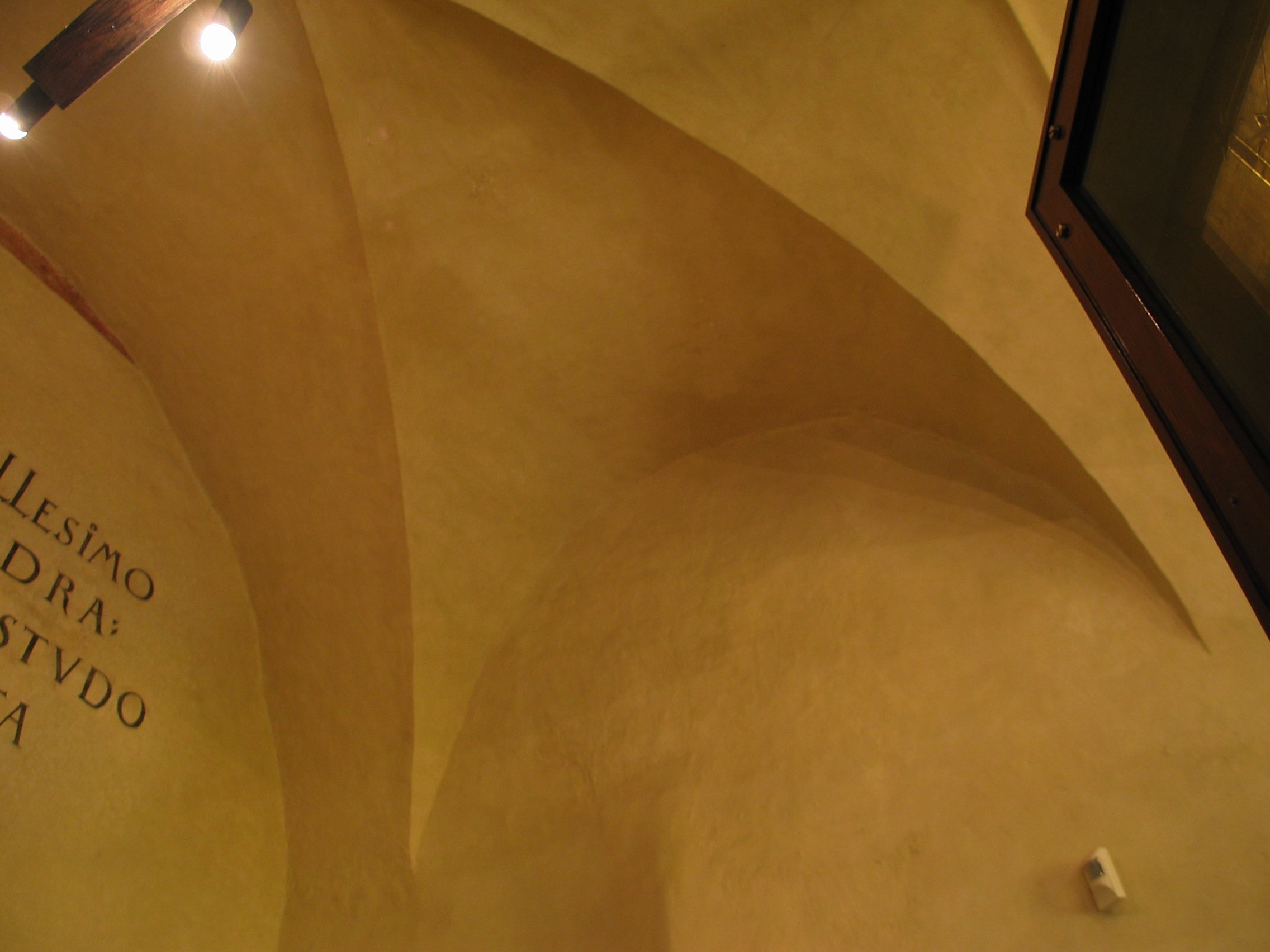 ste_3564.jpg