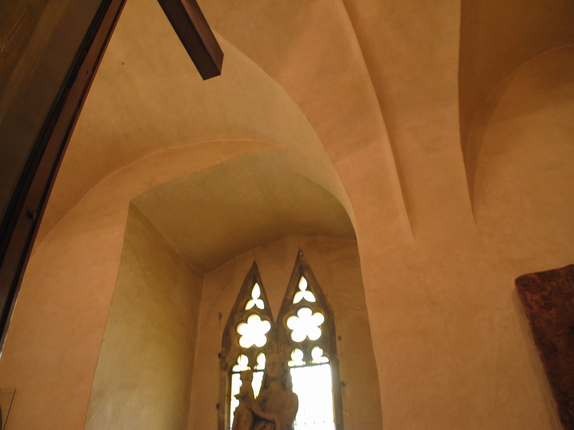 stf_3536.jpg