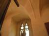 stg_3537_small.jpg