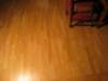 sta_3613_small.jpg