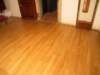 ste_3605_small.jpg
