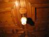 stj_3598_small.jpg