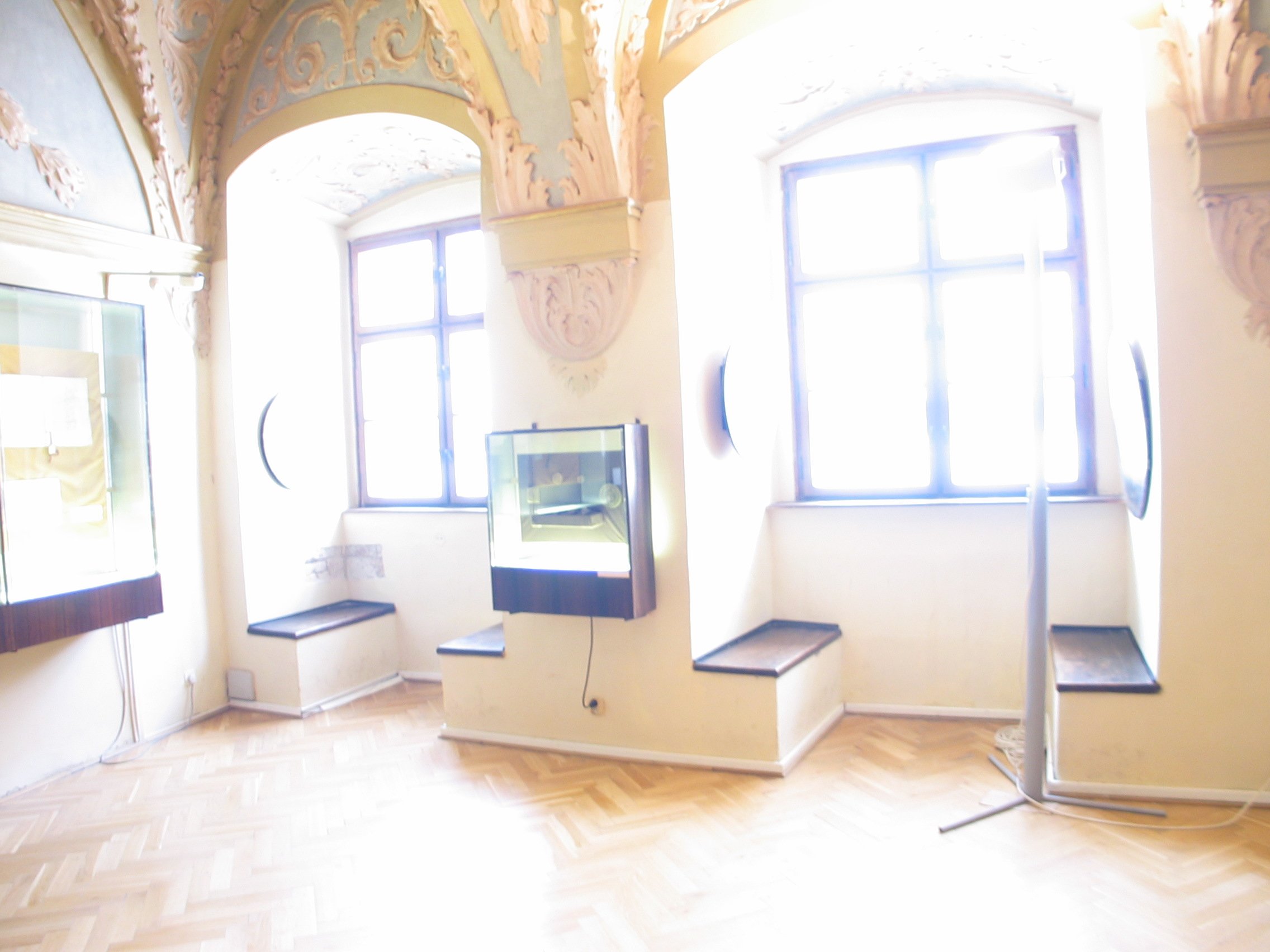 stg_3667.jpg