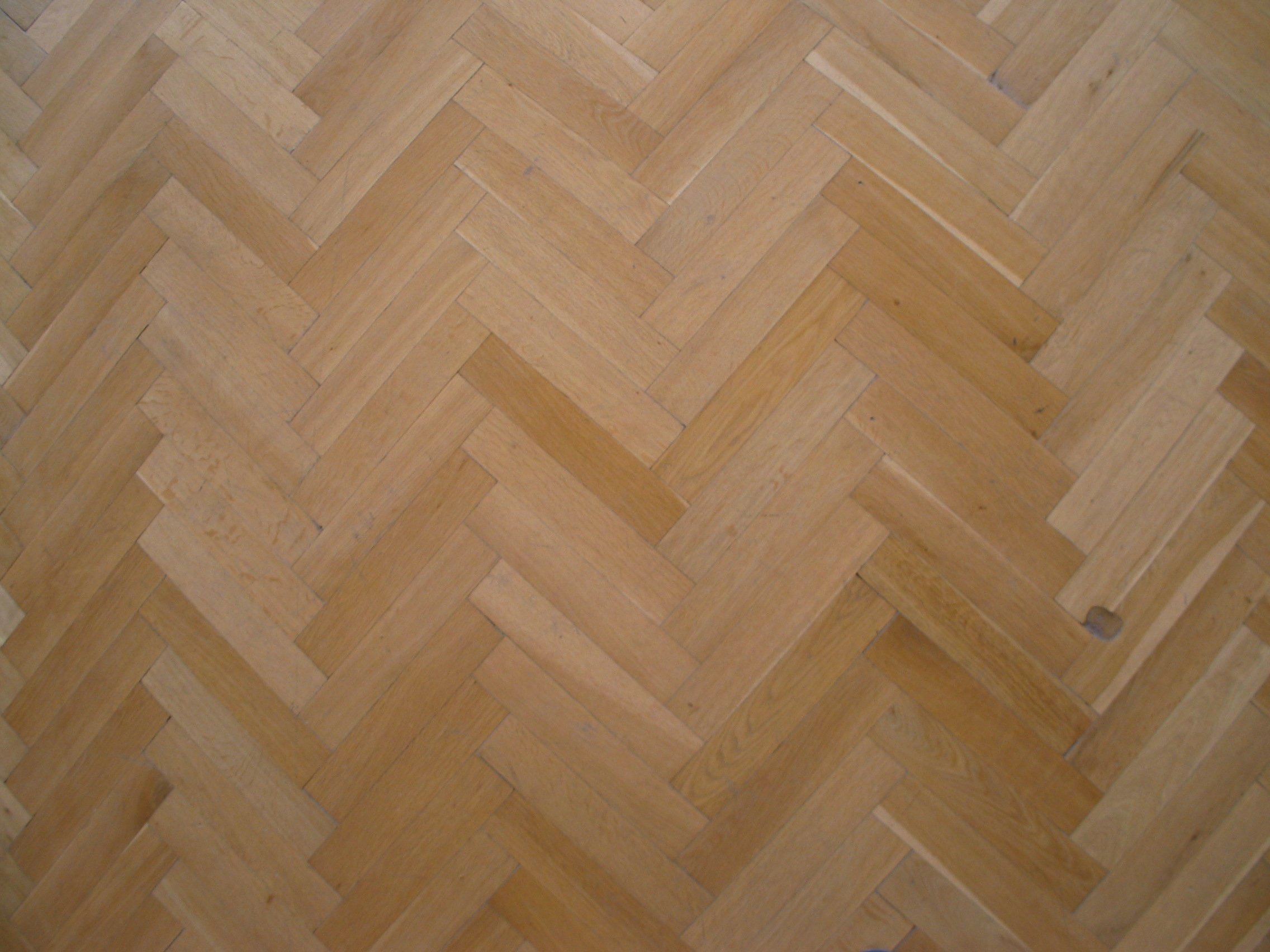 stq_3703.jpg