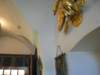 sto_3772_small.jpg