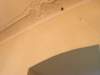 img_4010_small.jpg