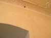 img_4011_small.jpg