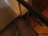 img_4037_small.jpg