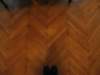 img_4229_small.jpg