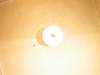 img_4272_small.jpg