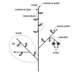 modularnaStruktura