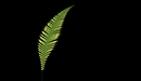 fern04